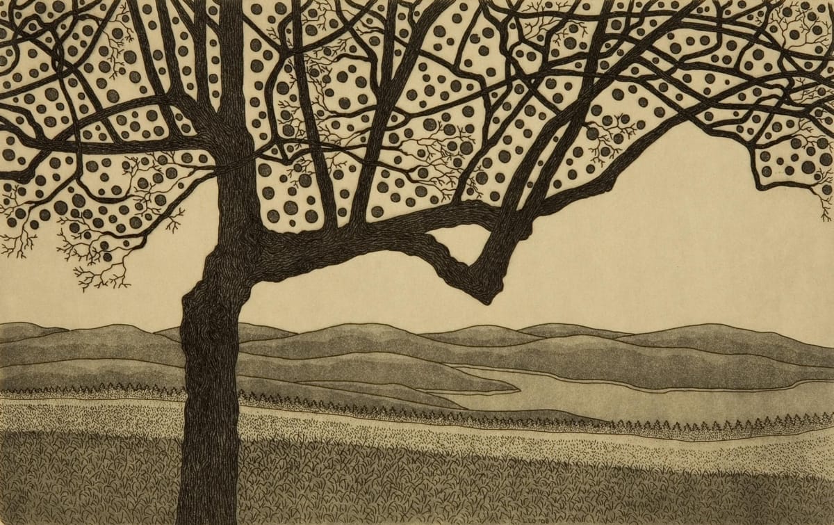 Leo Donahue, Wisdom Tree, 2005, etching on sepia paper